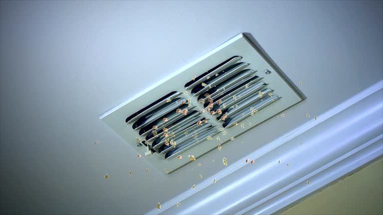 Best HVAC System Cleaning  in Paia, HI