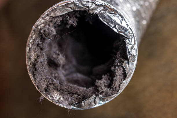 Best Best Air Duct Cleaning Company  in Paia, HI