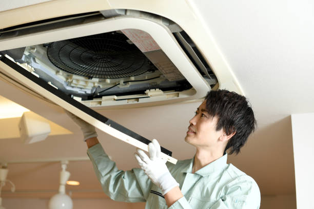 Best Air Duct Cleaning Near Me in Paia, HI
