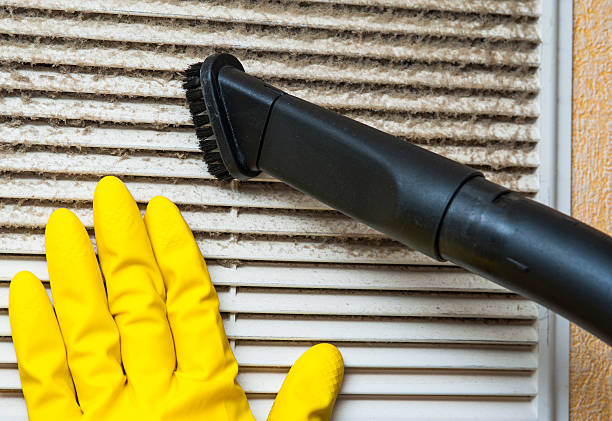 Best Local Air Duct Cleaning Services  in Paia, HI
